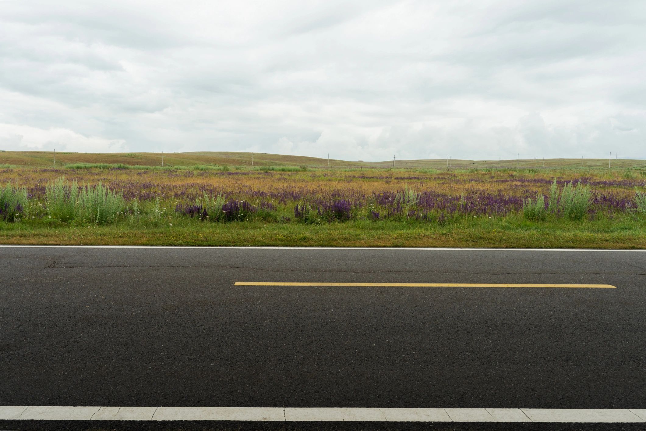 Rental car on a scenic road representing premium travel service